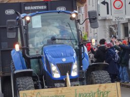 Simmeringer Faschingsumzug 2025